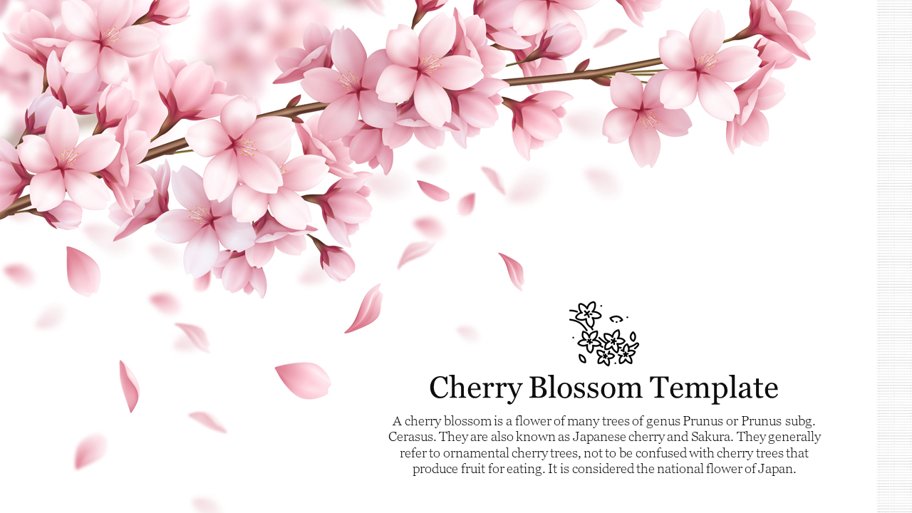 Engaging and Exciting Cherry Blossom Template Themes